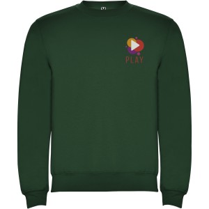 Clasica unisex crewneck sweater, Bottle green (Pullovers)