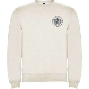 Clasica unisex crewneck sweater, Vintage White (Pullovers)