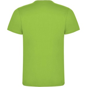 Dogo Premium short sleeve kids t-shirt, Oasis Green (T-shirt, 90-100% cotton)