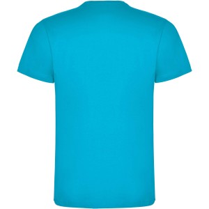 Dogo Premium short sleeve kids t-shirt, Turquois (T-shirt, 90-100% cotton)