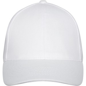 Drake 6panel trucker cap, White (Hats)