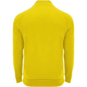 Epiro long sleeve unisex quarter zip sweatshirt, Yellow (Pullovers)