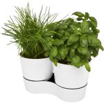 Herbs twin kitchen pot, White (11315601)