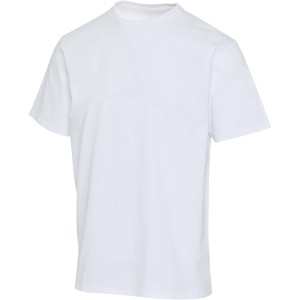 Lucas 280 g/m2 unisex OCS organic oversized t-shirt, White