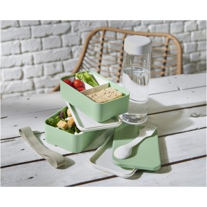 MIYO Renew double layer lunch box, Ivory white, Seaglass gre (Plastic kitchen equipments)