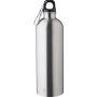 Recycled stainless steel single walled bottle (750 ml ) Emer