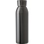 Stainless steel single-walled drinking bottle 650 ml Cindy, 