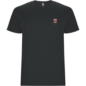Stafford short sleeve kids t-shirt, Dark Lead (T-shirt, 90-100% cotton)