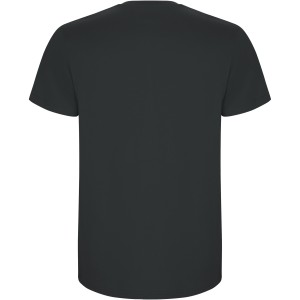 Stafford short sleeve kids t-shirt, Dark Lead (T-shirt, 90-100% cotton)