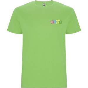 Stafford short sleeve kids t-shirt, Oasis Green (T-shirt, 90-100% cotton)