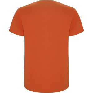 Stafford short sleeve kids t-shirt, Orange (T-shirt, 90-100% cotton)