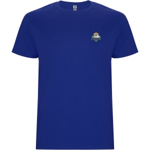 Stafford short sleeve kids t-shirt, Royal (T-shirt, 90-100% cotton)