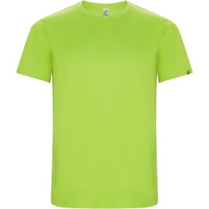 Imola short sleeve men's sports t-shirt, Fluor Green (T-shirt, mixed fiber, synthetic)