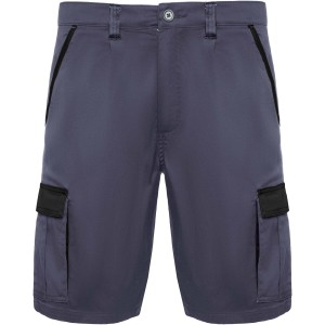 Tahoe 250 g/m2 workwear shorts, Lead, Black