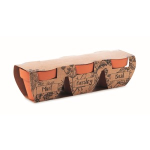 Terracotta 3 herb pot set (Gardening)