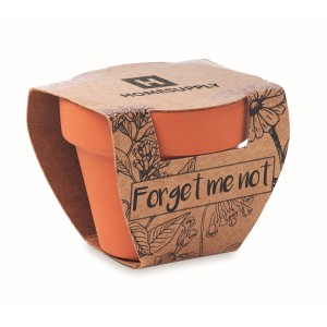 Terracotta pot 'forget me not' (Gardening)