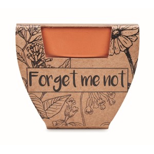 Terracotta pot 'forget me not' (Gardening)